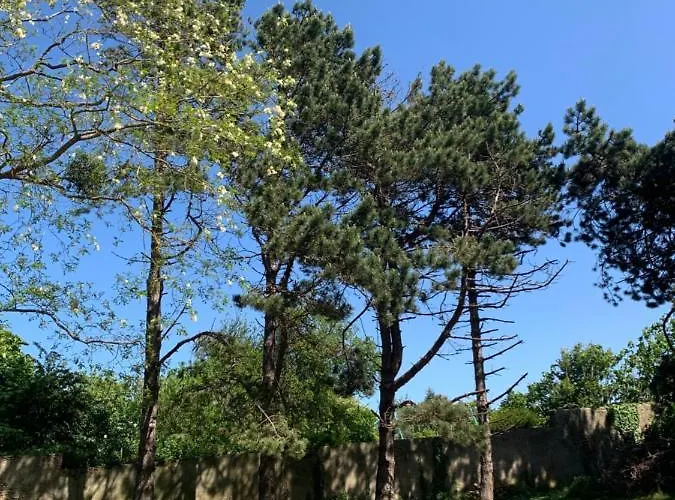 De Au Bord De Sur Ver-sur-Mer