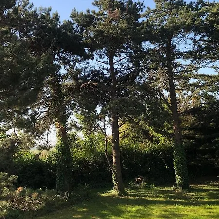 シャレー De Au Bord De Sur