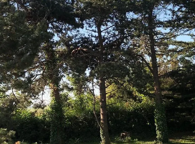 בקתה De Au Bord De Sur